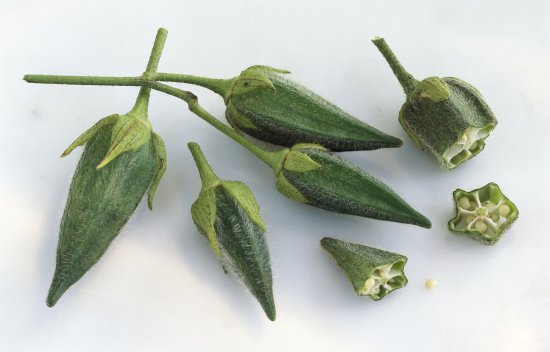  小小秋葵能补血防癌 5招教你选秋葵 素食养生