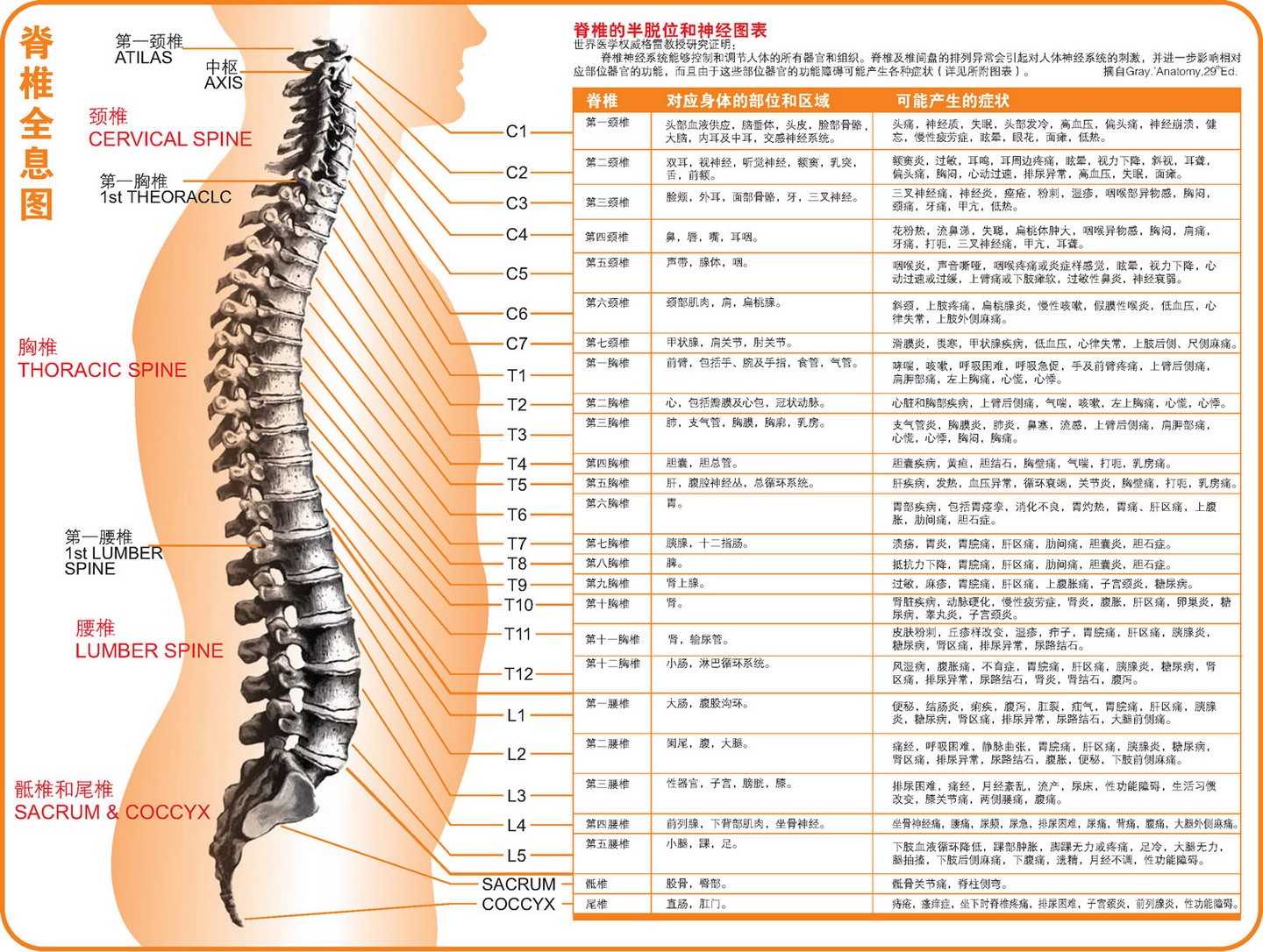 201508271440629781201819.jpg 中国养生五行,懂了这些你就是半个大师 养生之道 第4张 中国养生五行,懂了这些你就是半个大师 养生之道 第4张