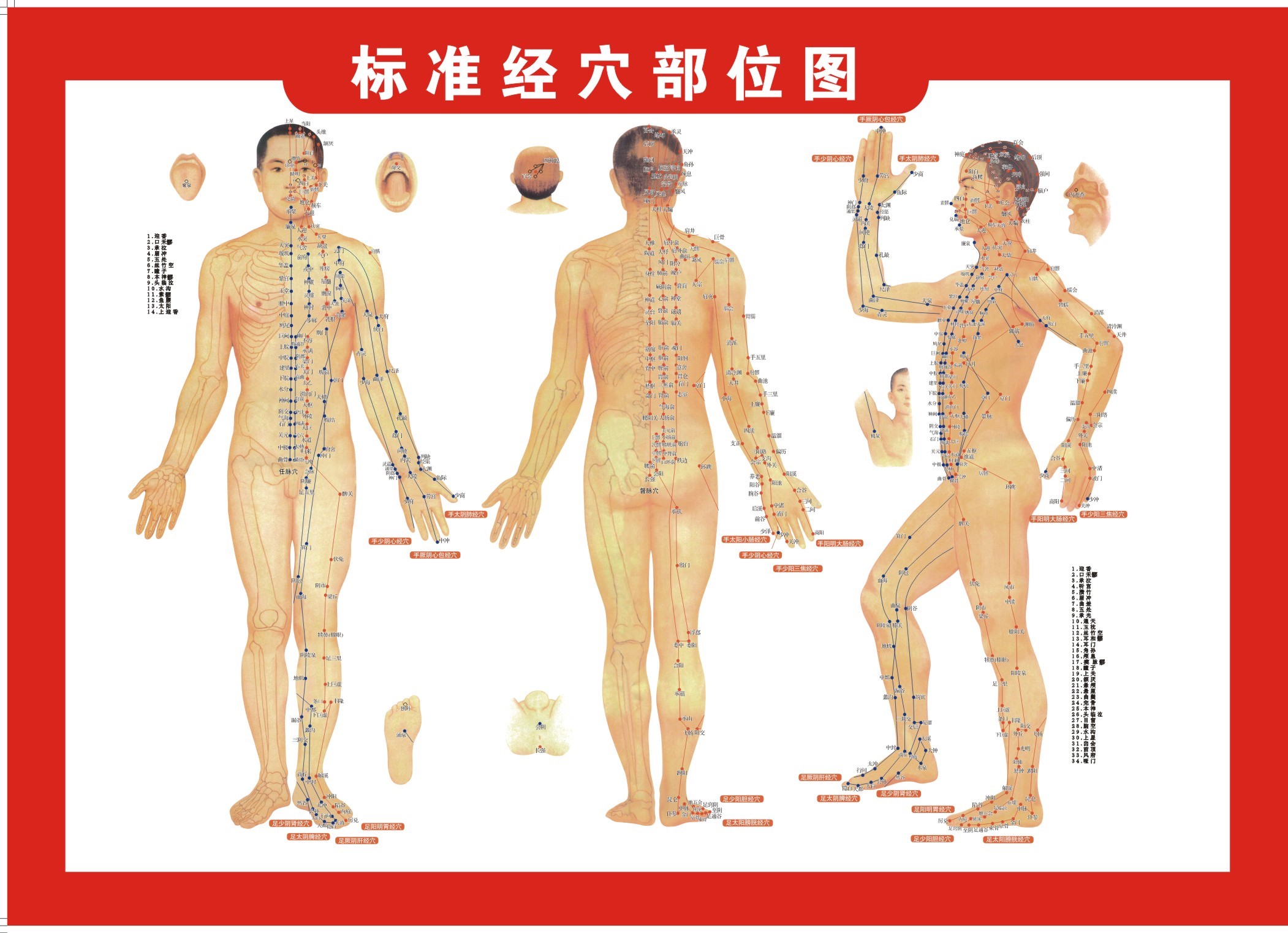 中国养生五行,懂了这些你就是半个大师 养生之道 第3张 中国养生五行,懂了这些你就是半个大师 养生之道 第3张