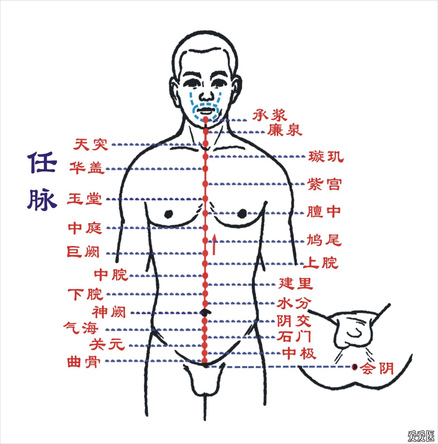 DDS与胃肠炎 DDS生物电手册 第2张