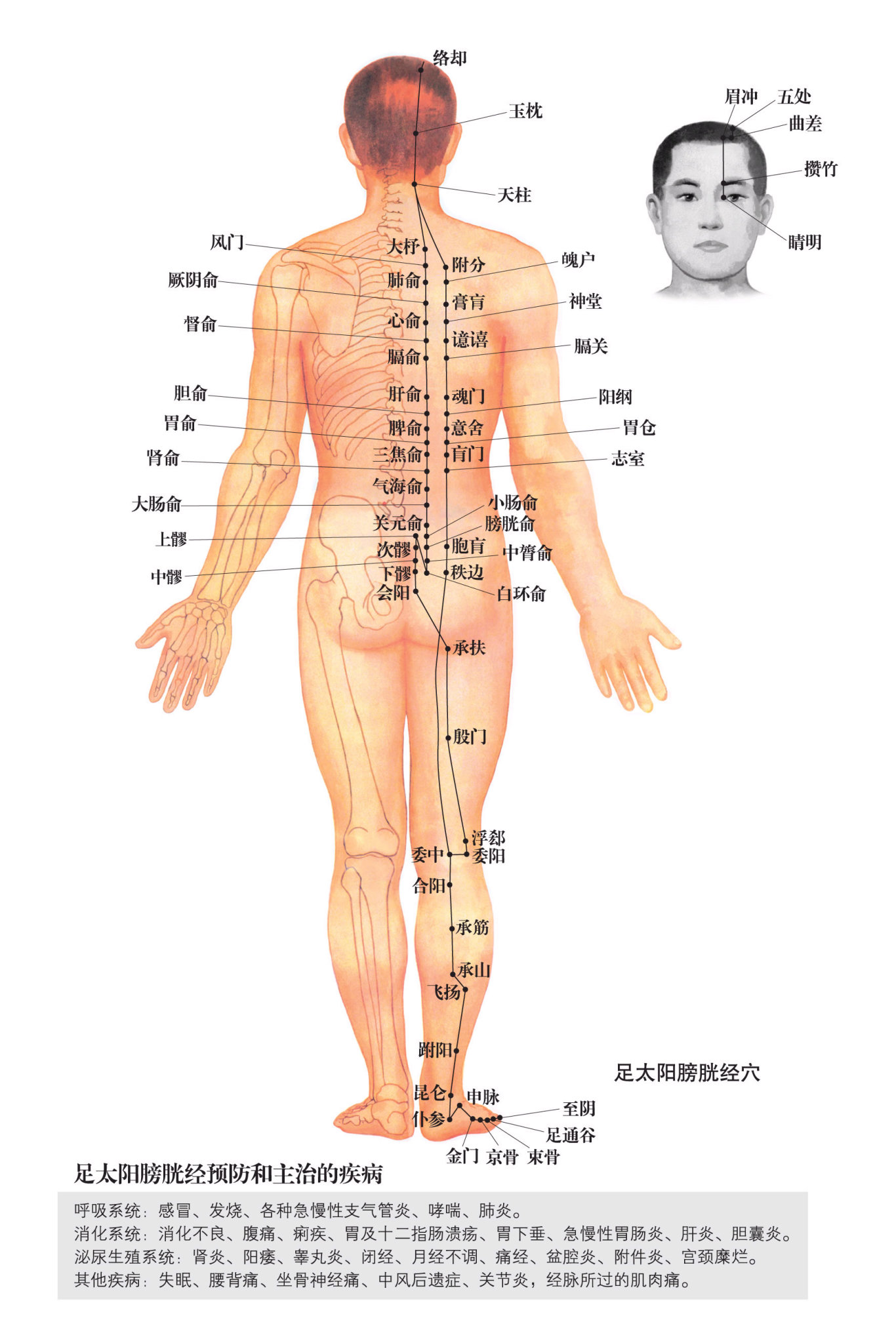 DDS与胃肠炎 DDS生物电手册 第1张