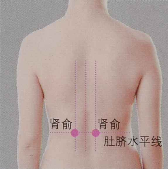  肾俞穴怎么找_肾俞穴的准确位置图 养生之道