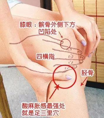 用艾灸帮你调理急、慢性胃炎 艾灸养生 第3张