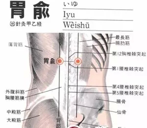 用艾灸帮你调理急、慢性胃炎 艾灸养生 第4张
