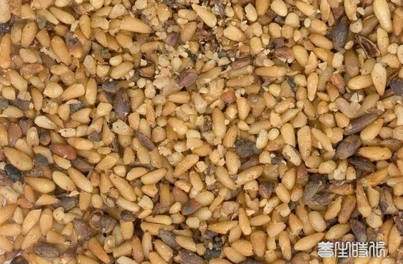  心虚血少食柏仁煮花生米 素食养生